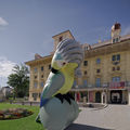 Papagei in Eisenstadt Fotocredit: Claudio Farkasch